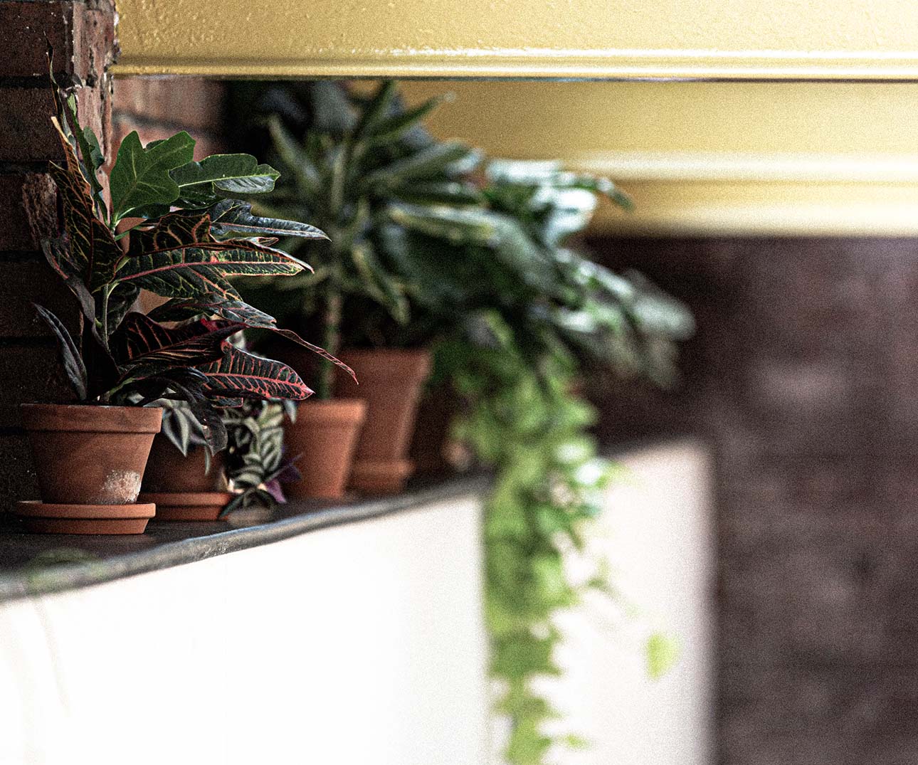 04_Gather Round, Bristol_home page